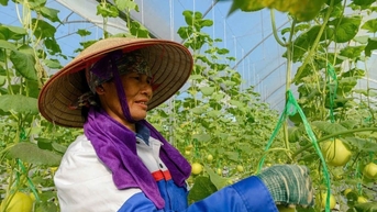 Ngành nông nghiệp và môi trường bứt phá thành trụ cột tăng trưởng xanh