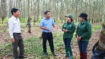 ការអនុវត្តគោលនយោបាយធានារ៉ាប់រងសង្គមឱ្យបានល្អ - ការលើកទឹកចិត្តសម្រាប់ការអភិវឌ្ឍន៍អាជីវកម្ម