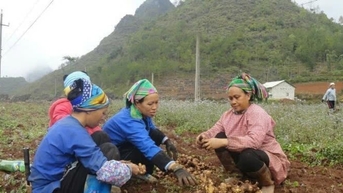 Cao Bằng tăng tốc giảm nghèo từ nguồn vốn Chương trình mục tiêu quốc gia