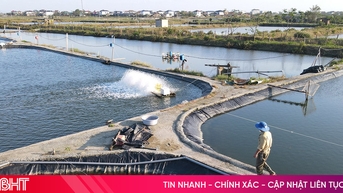 Phường Trần Phú đẩy mạnh phát triển các mô hình nông nghiệp đô thị