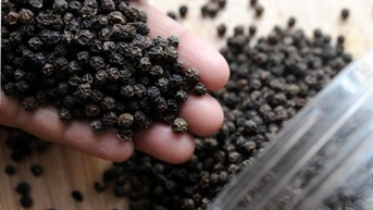 Giá tiêu hôm nay 20/11/2025: Thị trường ít biến động