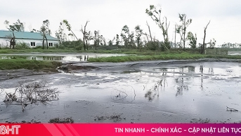 Trại lợn gây ô nhiễm kéo dài, người dân bức xúc