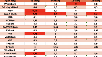 Lãi suất ngân hàng hôm nay 20.11: Tăng mạnh, đua top lãi suất cao nhất thị trường