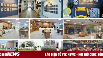 Đội ngũ giáo viên giỏi chuyên môn tại trường Ngôi Sao Hà Nội - Hải Phòng Campus