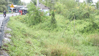 Dây điện thấp tiềm ẩn nguy hiểm