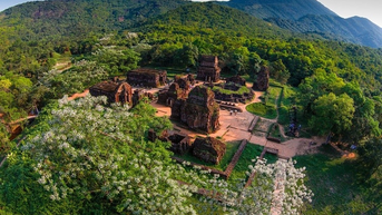 Chung tay bảo vệ hệ sinh thái rừng Mỹ Sơn