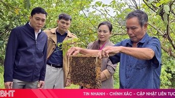 ការកសាងជីវភាពពីអាណានិគមសត្វឃ្មុំជួយឱ្យរួចផុតពីភាពក្រីក្រប្រកបដោយនិរន្តរភាព