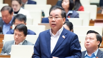 Đại biểu Quốc hội nêu đề xuất về sáp nhập, tái cấu trúc các đại học