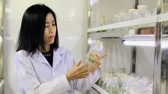 Nhà khoa học nữ mở đường cho nghiên cứu khoa học y sinh tại Việt Nam