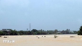 Khánh Hòa: Lũ trên các sông đang lên, có khả năng vượt mốc lũ lịch sử