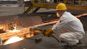 Đảm bảo cung cấp điện an toàn cho hoạt động sản xuất kinh doanh và sinh hoạt của nhân dân các tháng cuối năm