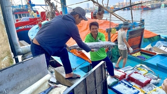 អនុរដ្ឋមន្ត្រី Phung Duc Tien៖ វៀតណាមប្តេជ្ញាដក IUU 'កាតលឿង'