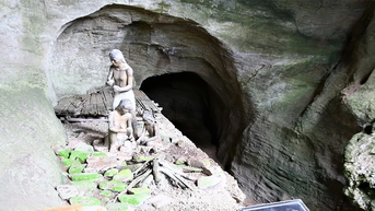 រៀបចំផែនការអភិរក្ស ស្ដារ និងជួសជុលសារីរិកធាតុជាតិពិសេស Hang Xom Trai និង Mai Da Lang Vanh