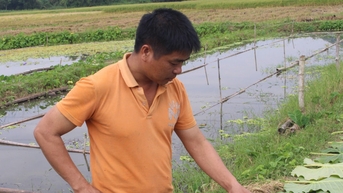 ឃុំ Yen Trach, Thai Nguyen៖ គេចផុតពីភាពក្រីក្រតាមរយៈគំរូអាជីវកម្មខ្យង