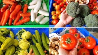 TP. Hồ Chí Minh: Nguồn cung giảm mạnh, thị trường rau xanh bị đẩy giá