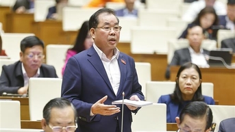 Sáp nhập đại học không thể cơ học, đề xuất bỏ đại học vùng