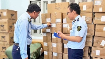 TPHCM phát hiện hơn 372.000 sản phẩm vi phạm trong gần một tháng