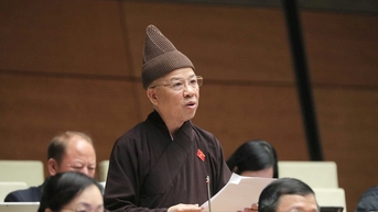 Xem xét kỹ lưỡng việc duy trì mô hình đại học vùng