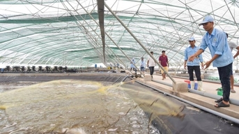 ការធ្វើពាណិជ្ជកម្មវ៉ាក់សាំងការពារជំងឺក្នុងទឹកនៅមានកម្រិតនៅឡើយ។