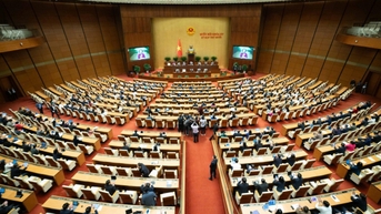 Tự chủ tài chính khiến một số trường đại học 'kém đi' sau sáp nhập