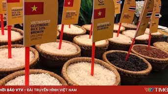 ការជំរុញថ្មីសម្រាប់ការនាំចេញអង្ករវៀតណាម