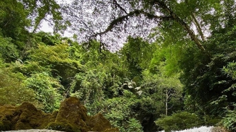 Bảo tồn đa dạng sinh học tại Vườn quốc gia Phong Nha – Kẻ Bàng