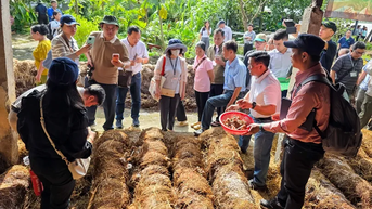 Hơn 150 nông dân và đại biểu đến từ các quốc gia ASEAN tham quan mô hình kinh tế tuần hoàn từ rơm tại HTX Tiến Thuận
