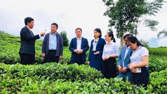 Lao Cai - Hekou ពង្រឹងកិច្ចសហប្រតិបត្តិការលើវិស័យកសិកម្ម