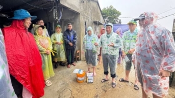 ការពង្រីកវិស័យកសិកម្មជួយខេត្ត Quang Ngai ស្តារផលិតកម្មឡើងវិញ បន្ទាប់ពីគ្រោះមហន្តរាយធម្មជាតិ