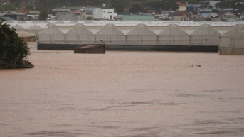 Lâm Đồng đề nghị các thủy điện phối hợp cắt lũ, sơ tán dân vùng hạ du