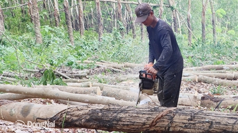 Hơn 314 tỷ đồng bồi thường, hỗ trợ thực hiện cao tốc Thành phố Hồ Chí Minh - Thủ Dầu Một - Chơn Thành