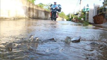 ជំនោរខ្ពស់លេចឡើងនៅឆ្នេរសមុទ្រភាគអាគ្នេយ៍