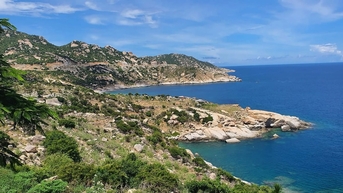 Mui Dinh Ninh Thuan: មគ្គុទ្ទេសក៍ដើម្បីរុករកដីព្រៃ