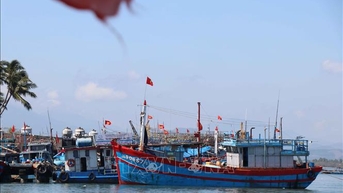 Kết nối VNeID với hệ thống quản lý tàu cá