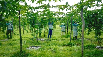 Vietnam Foodexpo 2025: Lời tri ân của Sao Mai và khát vọng mang nông sản Việt vươn xa