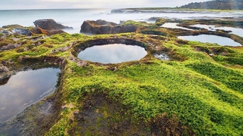 Hòn Đỏ Ninh Thuận: Khám phá rạn san hô hóa thạch trên cạn