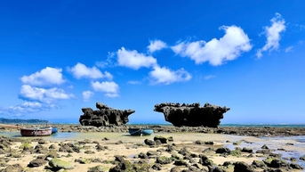 Hon Do Ninh Thuan៖ មើលផ្កាថ្មនៅលើដី និងបរបាញ់សត្វស្លែពណ៌បៃតង