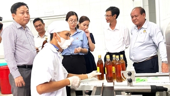 Nghiệm thu 2 đề án khuyến công, nâng cao năng lực sản xuất mụn dừa và mật ong