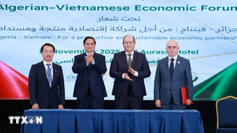 Thủ tướng Phạm Minh Chính và Thủ tướng Algeria làm việc với các doanh nghiệp