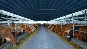 Phát triển vốn thứ cấp, doanh nghiệp nông nghiệp IPO 30 triệu cổ phiếu