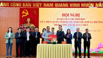 Thuế cơ sở 2 tỉnh đánh giá tình hình thực hiện quản lý thuế sau khi thực hiện chính quyền địa phương 2 cấp và triển khai nhiệm vụ công tác quản lý thuế