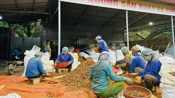 Bạch Thông phát huy kinh tế tập thể, nâng tầm sản phẩm OCOP