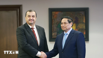 Thủ tướng làm việc với các Bộ, Tập đoàn của Algeria để cụ thể hóa quan hệ Đối tác Chiến lược
