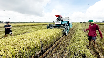 Cần Thơ nỗ lực “chuyển đổi kép” trong nông nghiệp