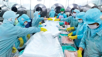 Cần Thơ có 97 cơ sở sử dụng năng lượng trọng điểm