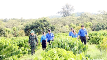 Thành công lớn từ những mô hình sáng tạo