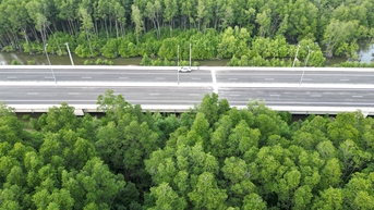 គយគន់ផ្លូវព្រៃកោងកាងដ៏ស្រស់ស្អាតបំផុតនៅក្នុងប្រទេស