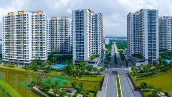 Năm bội thu của thị trường bất động sản Hà Nam