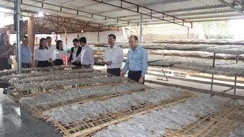 Nâng sức cạnh tranh sản phẩm OCOP từ yếu tố bản địa