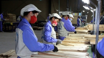 Doanh nghiệp Việt Nam cần thích ứng trước trở ngại thị trường